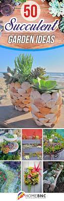 / fioriere con piante grasse decorate con cusci di frutti di. 50 Modi Di Creare Un Giardino Succulento Incantato Nel Tuo Cortile Home Decor