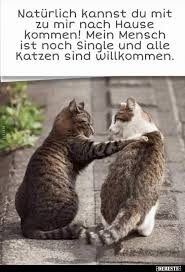 *free* shipping on qualifying offers. 10 Lustige Bilder Von Nach Hause Kommen Lustig Neue Debeste