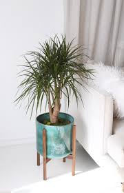 Plant pot stands are not only incredibly practical but can also be an attractive feature. Large Mid Century Modern Planter Ceramic With Wood Stand Mid Century Modern Planter Mid Century Modern Plant Stand Modern Planters