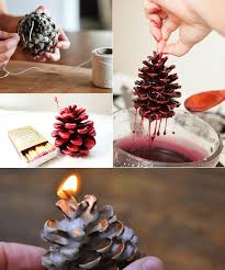 Zapfen Zum Basteln Von Diy Firestarter Kamin Anzunden Mit Zapfen Paper Chandelier Candle Making Xmas