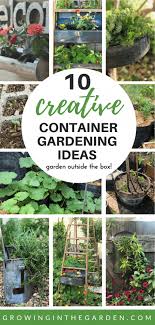 Garden Outside The Box Creative Container Gardening Ideas Growing In The Garden In 2020 Container Gardening Vegetables Container Gardening Container Garden Design