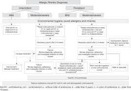 Iv Brazilian Consensus On Rhinitis An Update On Allergic