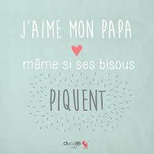 J Aime Mon Papa 3 Meme Si Ses Bisous Piquent Words Quotes Book Cover