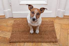 You will love the look and the freedom it gives you and your pets. Freedom Pet Doors Manufactured By Anlin Windows And Doors