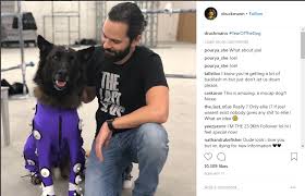 Welcome to the most active subreddit for fans of the last of us. The Last Of Us 2 Release Date Ellie Edition Gameplay Everything We Know Usgamer