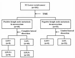 flowchart of this study only the eight patients with