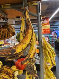 Horn, horns, banana, horned, wetlands, plantain, plantains, persimmon. Pisang Tanduk Bananas Information And Facts