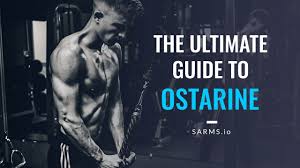 We did not find results for: Ostarine Mk 2866 Review From A Sarms Expert Sarms Io