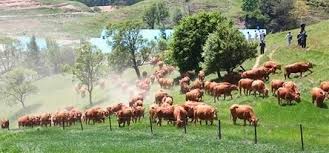 2021년 1월 1일 0시 0분 경기도 고양시 일산차병원에서 임상현(37세)ㆍ 정송민(34세)씨의 아들 아주 느린 열차이니 천천히 안전운행하여 2021년1호 열차가 기다리는 종착역까지 해피바이러스가 편하게. Ev9z1aupfh32m