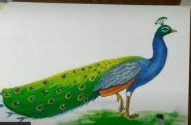 Outline drawing of peacock awesome peacock simple outline images. How To Draw A Peacock Step By Step With Pictures Drawing A Peacock