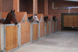 Rolf and ermindo w ready for the olympic games in tokyo. Reitanlage Eichenhof Aussenbox Mit Paddock Mit Freien Stallplatzen Oder Pferdeboxen In Krebeck 22 Einstellplatze 2 Freie Pferdeboxen Pferdestalle Reitanlage