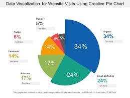 data visualization for website visits using creative pie