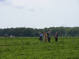 The data in this listing is believed to be accurate in our florist directory at the time of posting. Daycations From Sachem Strawberry Picking Sachem Ny Patch