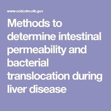 Methods To Determine Intestinal Permeability And Bacterial Translocation During Liver Disease Liver Disease Liver Disease