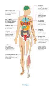 Certain medicines used to treat breast cancer can reduce the number of platelets in your body or make clotting factors not work properly. 12 Effects Of Breast Cancer On The Body