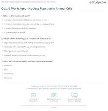 Maybe you would like to learn more about one of these? Quiz Worksheet Nucleus Function In Animal Cells Study Com