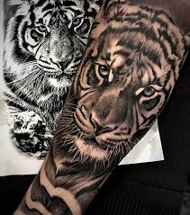 Pin de Jesus Arno em tatoos | Desenho de tatuagem de tigre, Tatuagem de tigre japonês, Tatuagem de tigre