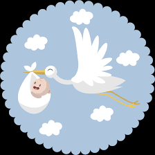 Masz nietypowe hobby, a może szukasz ciekawych inspiracji? Naklejka Bocian Niosacy Dziecko Tenstickers