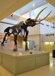 The Top 10 Things To Do In Jonesboro With Kids Family Friendly Activities In Jonesboro Ar Tripadvisor