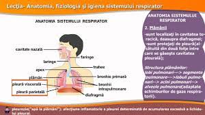We did not find results for: Anatomia Fiziologia È™i Igiena Sistemului Respirator Youtube