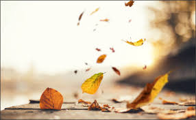 3 Reasons Your Gutters Won T Make It Through The Fall New Canaan Darien Moms Download this falling leaves, leaves, fall, shriveled png clipart image with transparent background or psd file for free. new canaan darien moms