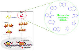 Image result for Selective Estrogen Receptor Modulator