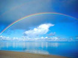 Image result for rainbows