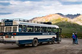 This video covers the tundra wilderness tour of denali national park on tour bus run by the park. How To Visit Denali National Park Adventuresmith Explorations