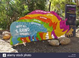 rhino size chart at taronga western plains zoo stock photo