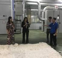 Tham quan và làm việc tại nhà máy sợi Tổng công ty Cổ phần ...