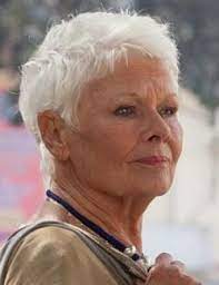 We did not find results for: Judi Dench Filme Moviejones