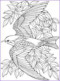 It averages 15 inches in length, while the tail of a breeding male can measure 25 inches or more. Printable Bird Coloring Pages For Adults Colouring Pages Hardware