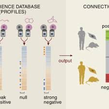Pdf The Connectivity Map Using Gene Expression Signatures To Connect Small Molecules Genes And Disease