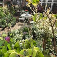 Malmesbury Garden Centre Posts Facebook
