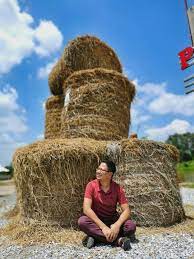 Program jasa d' facebook jabatan hal ehwal khas (jasa) negeri kedah. 10 Tempat Menarik Wajib Korang Terjah Jika Bercuti Inap Desa Di Sungai Besar Libur