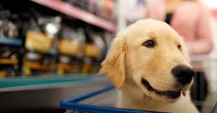 She is currently on victor hi pro plus and has been doing pretty good with that but has occasional diarrhea. Private Label Pet Food Everything You Need To Know
