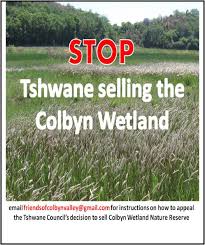 Image result for Setaria lindenbergiana