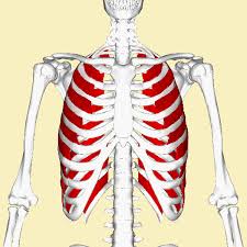 تصویر مرتبط