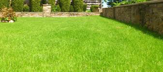 This depends greatly on the weather and the seeds: How Often To Water Lawn In Summer Abc Blog