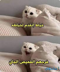 التعليق على ما ينشرونه بتعليقات مضحكه أو مؤثره اي مفيده و تثري الحوار اكثر و اكثر. Ø§Ø¬Ù…Ù„ 350 Ù†ÙƒØªØ© Ù…Ù† Ù†ÙƒØª Ù…Ø¶Ø­ÙƒØ© Ø¬Ø¯Ø§ Ù…ÙƒØªÙˆØ¨Ø© 2022 Ù…ÙˆÙ‚Ø¹ Ù…Ø­ØªÙˆÙ‰