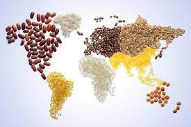 Theo tổ chức lương thực và nông nghiệp liên hợp quốc (fao), giá lương thực đang tiếp tục đà tăng lên mức cao nhất trong gần một thập kỷ. Ä'áº£m Báº£o An Ninh LÆ°Æ¡ng Thá»±c Vi Tháº¿ Há»‡ TÆ°Æ¡ng Lai