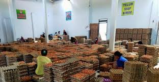 Kami merupakan distributor telur puyuh yang kualitas dan supply barangnya terjamin dengan harga bersaing. Peternak Blitar Gandeng Pt Berdikari Distribusikan Telur Ayam