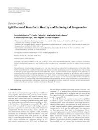 Pdf Igg Placental Transfer In Healthy And Pathological Pregnancies