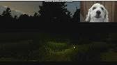 Perro Jugando Slenderman Youtube Jeff the killer, slenderman, eyeless jack.) até às menos conhecidas (ex. perro jugando slenderman youtube