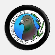 My name is dakota and i am a gorgeous border collie mix boy with thick soft fur that is perfect for petting and energy that is built for play! Chicago Pigeon Pets Rescue Pigeon Pin Teepublic