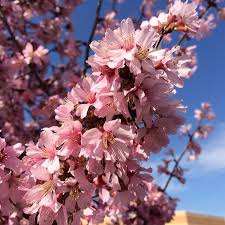 We did not find results for: Photos At Georgia Southern Bookstore Statesboro Ga