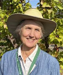 Rehabilitation of Los Altos Heritage Orchard