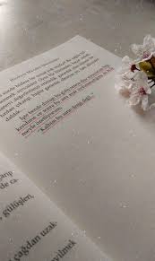 Sosyolojik Kafa Bir Sosyal Bilim Romani Sosyal Bilimler Kitap Romanlar
