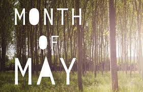 It's like the trivia that plays before the movie starts at the theater, but waaaaaaay longer. Which Is The Birth Month Flower For May Trivia Questions