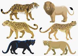 6 625 Cartoon Of The Carnivore Illustrations Clip Art Istock